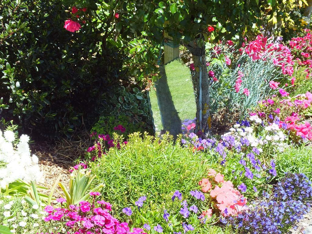 Austin Heights - Kaikoura Bed & Breakfast Екстериор снимка
